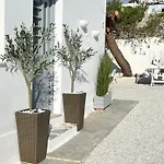 Aeolian Blu 11 *